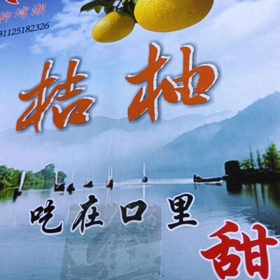 浙江丽水特产云和庆元甜橘柚10斤装包邮礼盒礼品年货送礼家品好吃
