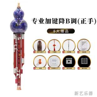 正品 新艺红木七孔加5键葫芦丝乐器专业演奏型降b调c调宽音域乐器