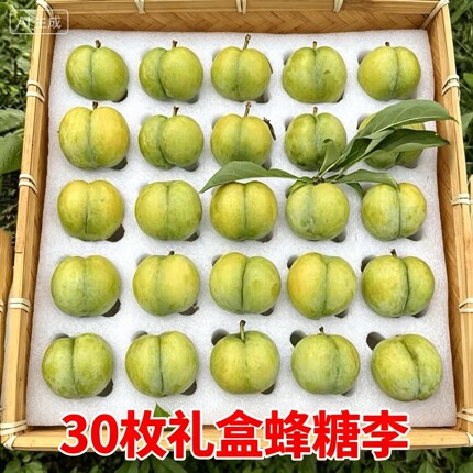 【顺丰/京东】贵州果园直发蜂糖李果园新鲜采摘脆甜多汁