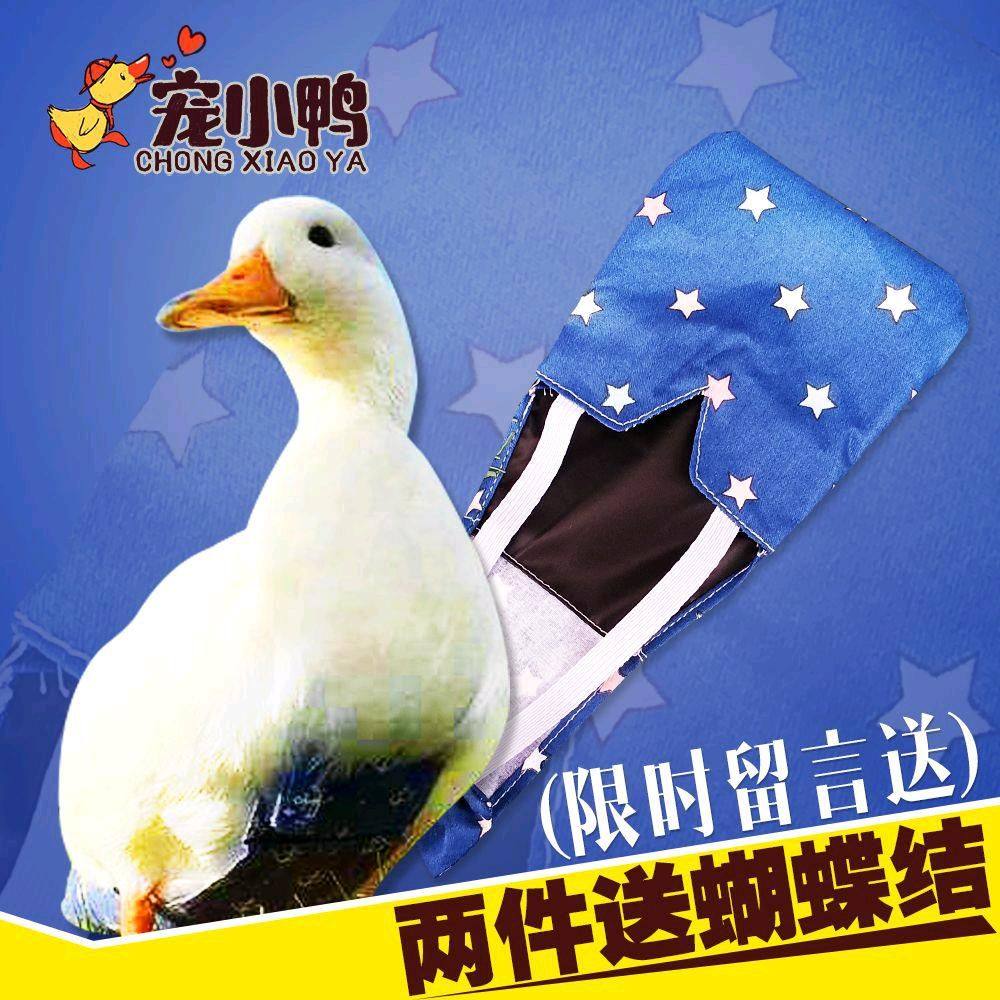 网红宠物鸭尿布柯尔鸭子屎兜鸡尿不湿鹅尿片纸尿裤可换洗衣服用品