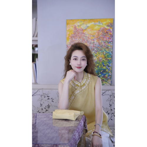 《晶晶定制》夏季贵气气质新中式百搭刺绣立领女上衣1201