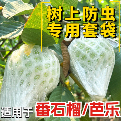 番石榴套袋水果芭乐防虫套袋专用一体泡沫包装袋百香果袋水果网套