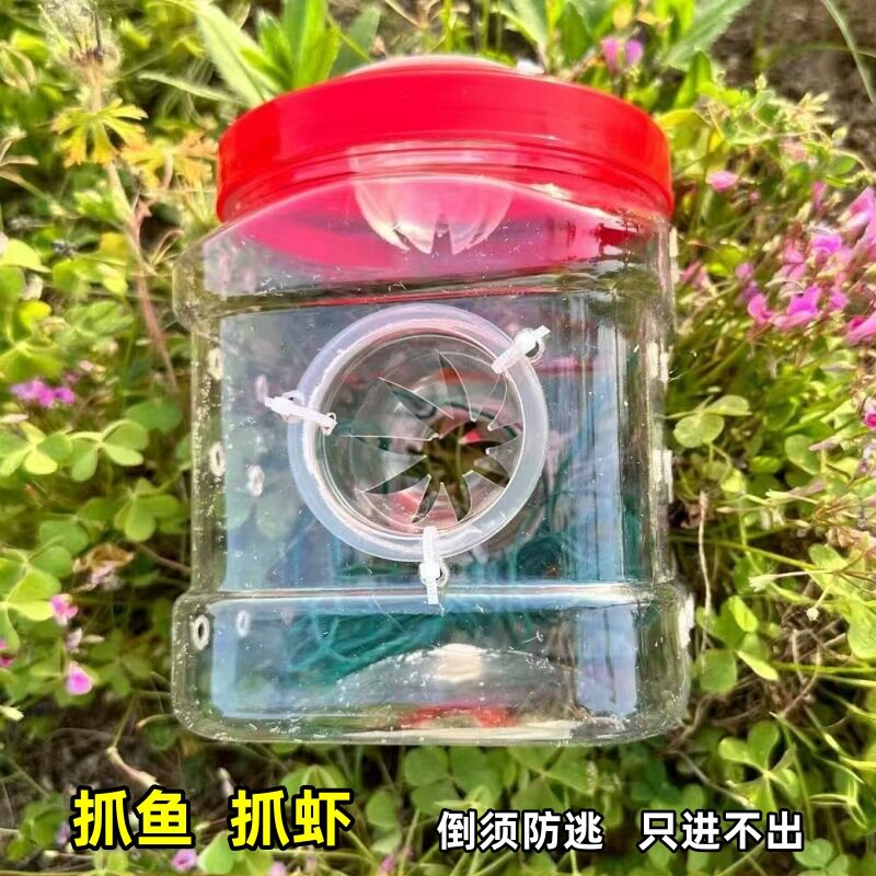 自制抓鱼神器10升全套工具小白条小鱼小虾桶手工制作捕鱼抓虾神罐