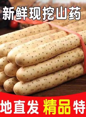 山药新鲜5斤淮山药铁棍山药铁杆正宗小白嘴山药粉糯长白山药