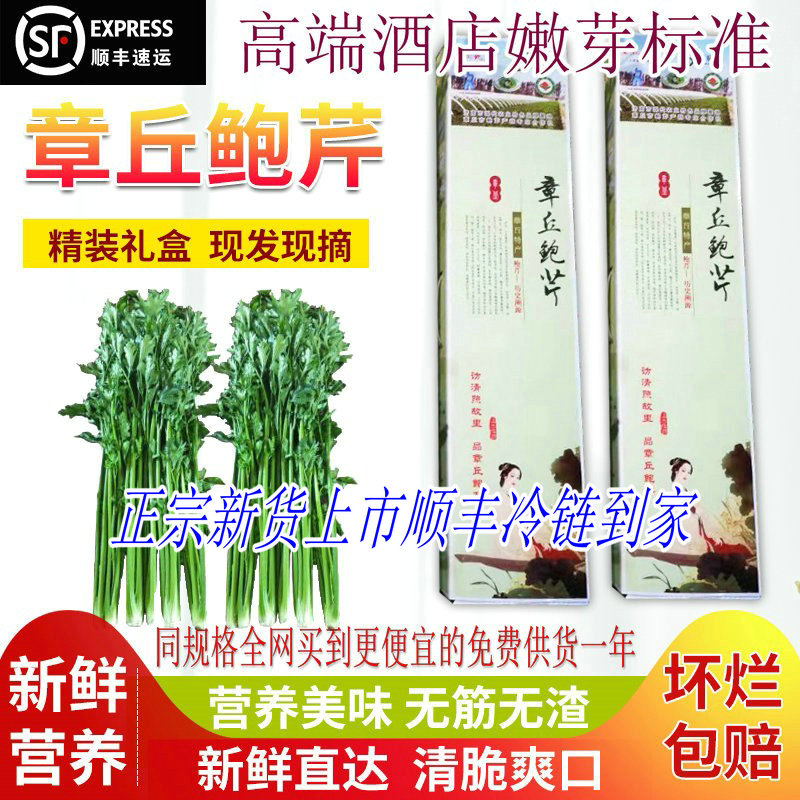 章丘鲍芹礼盒山东特产榨汁嫩芽脆甜春季野生自留种大健康酒店食材
