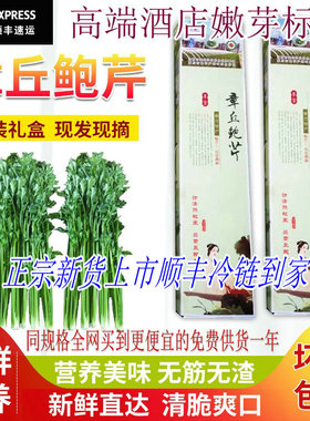 章丘鲍芹礼盒山东特产榨汁嫩芽脆甜春季野生自留种大健康酒店食材