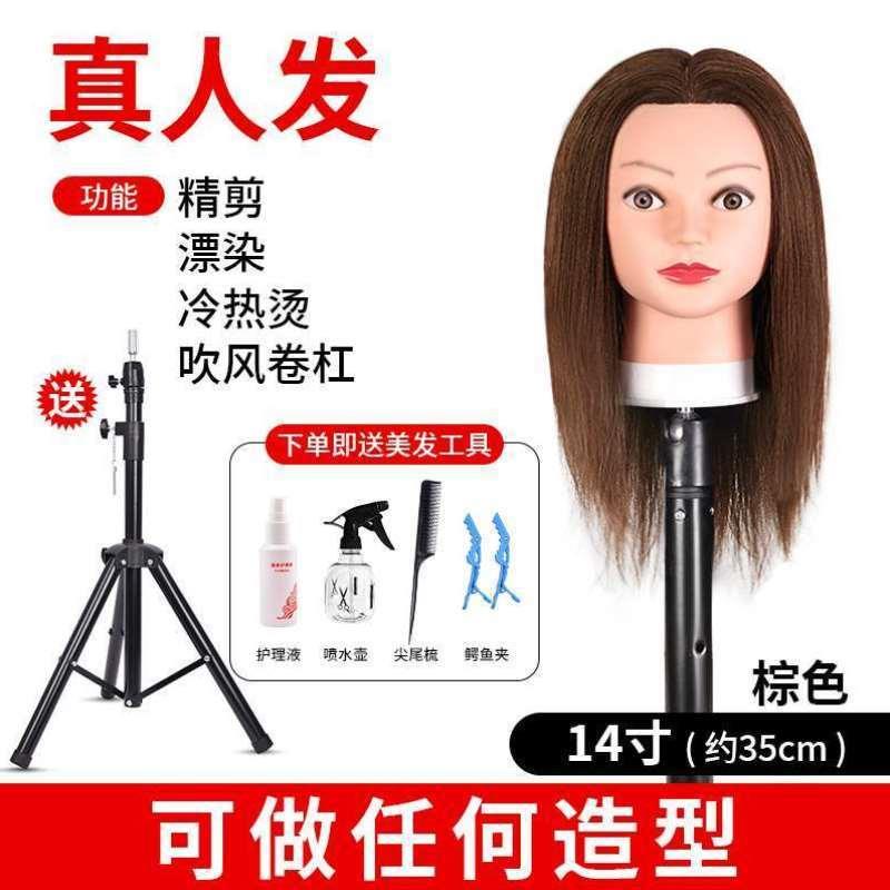 染烫剪发学徒人头真发头模发公仔头假模型练习全真美发头模模特可