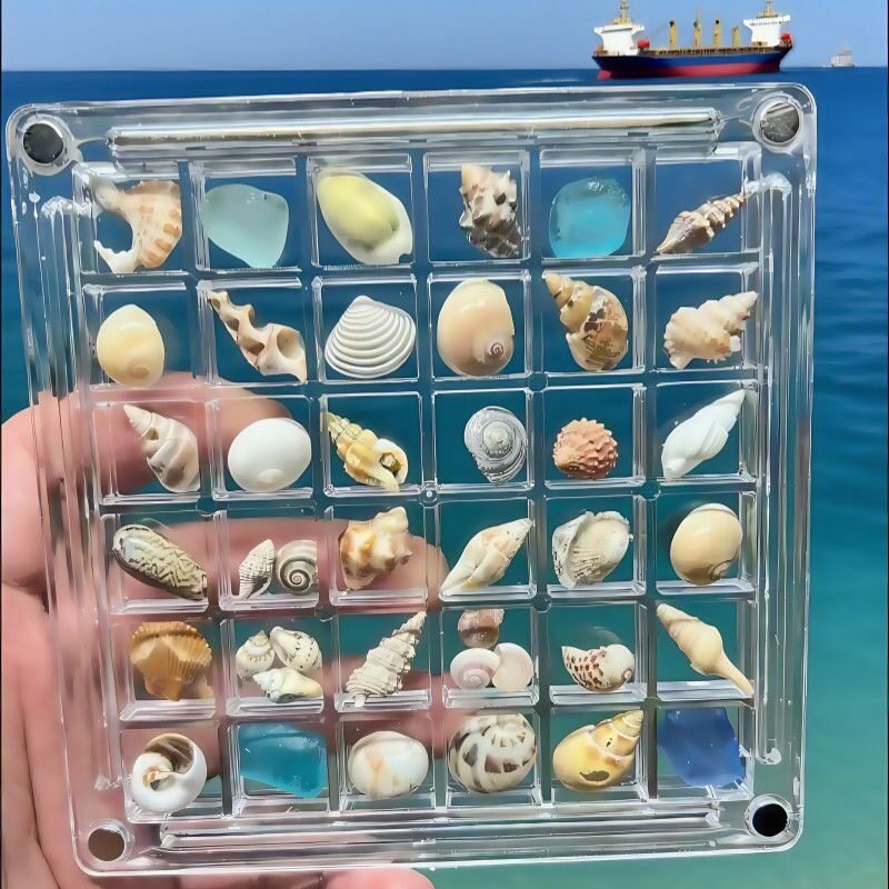 天热迷你海螺贝壳diy制作标本工艺摆件创意装饰