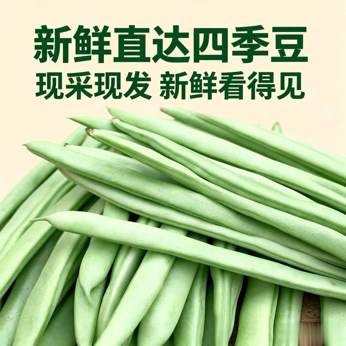 云南新鲜现摘农家四季豆批发筋豆蔬菜芸豆扁豆刀豆应季豆角