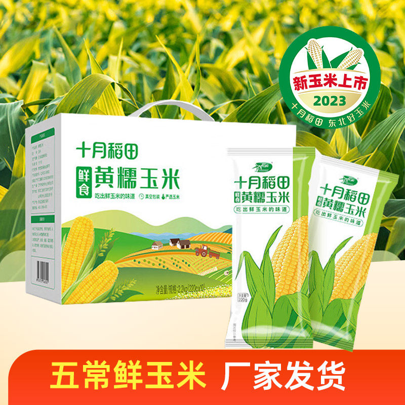 十月稻田 23年新玉米 鲜食黄糯玉米 2.2kg(220g*10) 东北黄甜糯怎么样,好用不?