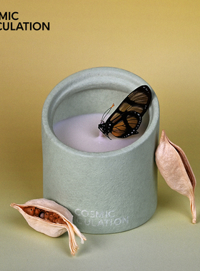 Cosmic Speculation宇宙的猜想瞬息四季日影系列春夏秋冬香薰蜡烛