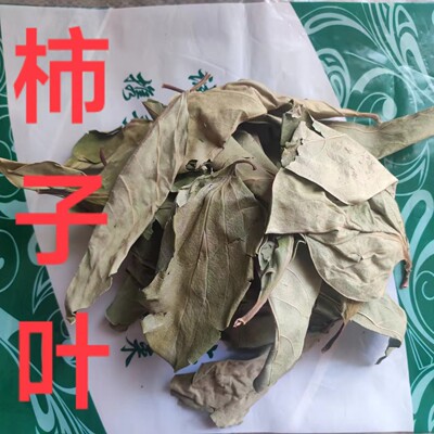 中药材霜后柿子叶 新货正品柿叶茶柿子叶子霜柿叶柿树叶柿子叶粉