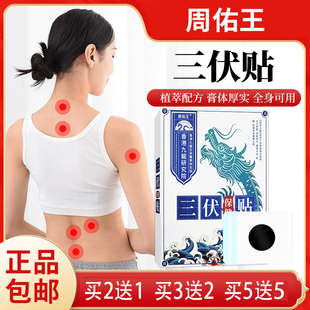 周佑王三伏贴三伏保健贴艾叶白芥子花椒细辛牛黄干姜甘草辛夷肉桂