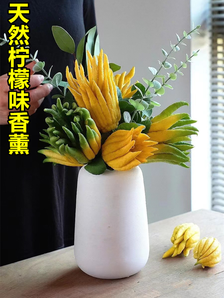佛手树苗带果盆栽金佛手佛手柑盆栽佛手瓜苗室内庭院好养植物盆景