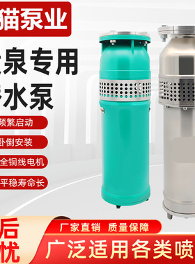 上海熊猫QSP潜水喷泉泵熊猫不锈钢喷泉专用潜水泵 上海熊猫水泵