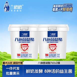 兰格格酸奶八旗菌凝酪760g2桶内蒙纯酪0蔗糖凝固雪原乳业草原酸奶