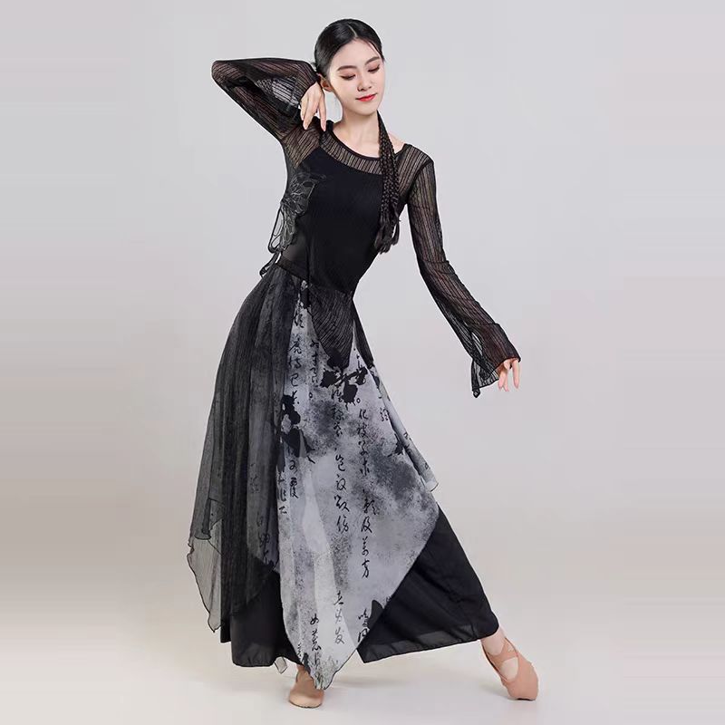 古典舞女款新中式水墨画国风身韵纱衣中国舞艺考舞蹈演出服练功服