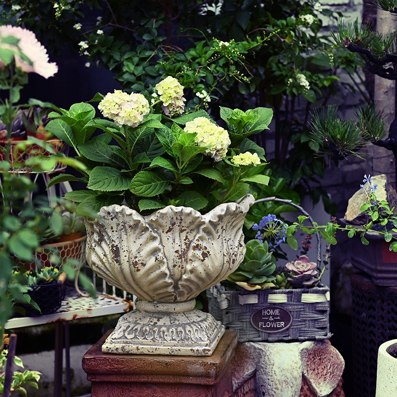 欧式复古大花盆花园庭院阳台