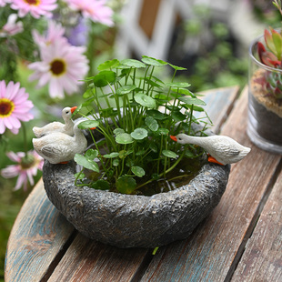 复古铜钱草水培花盆仿石臼鸭子花盆碗莲一线莲水养盆花园摆件庭院