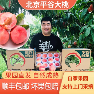 水蜜桃新鲜水果北京平谷大桃北京水蜜桃礼盒脆甜桃子久保桃顺丰