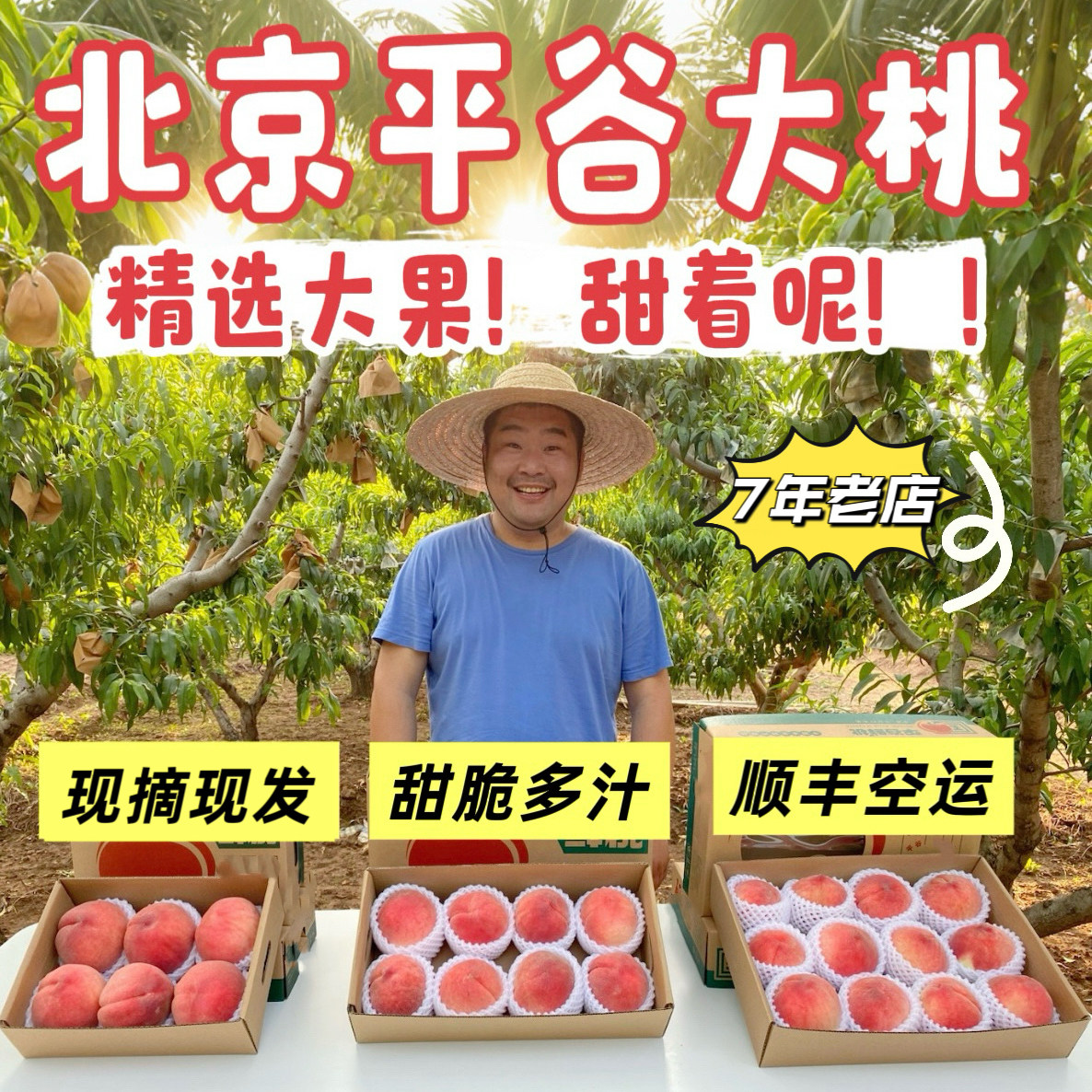 平谷大桃假一赔十!现摘新鲜