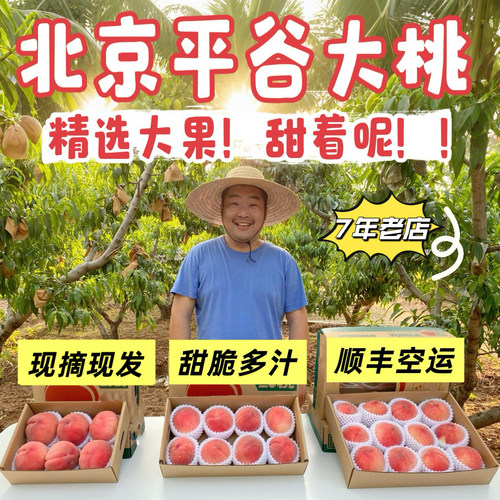 平谷大桃假一赔十!现摘新鲜