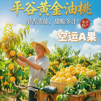 黄油桃北京平谷大桃澳油黄金油桃黄肉桃脆甜当季新鲜水果礼盒顺丰