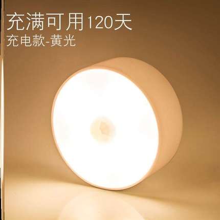 Motion Sensor LED Night Light USB Rechargeable Lamp感应灯