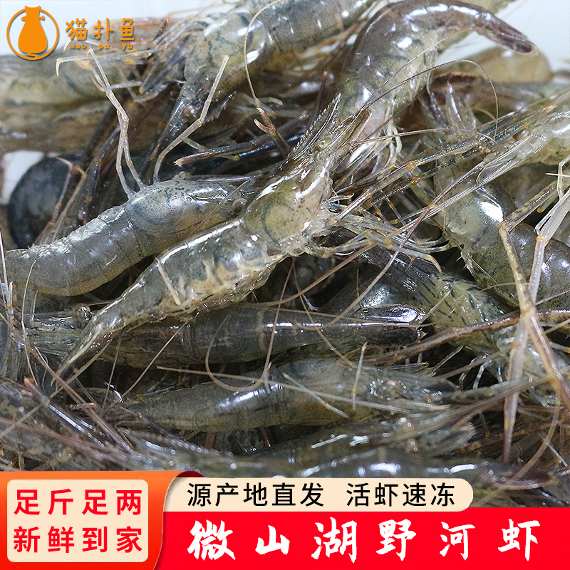 微山湖淡水新鲜野河虾鲜活速冻