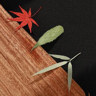 天然树叶标本玉兰叶脉树叶书签材料包手工自制叶脉干花道具