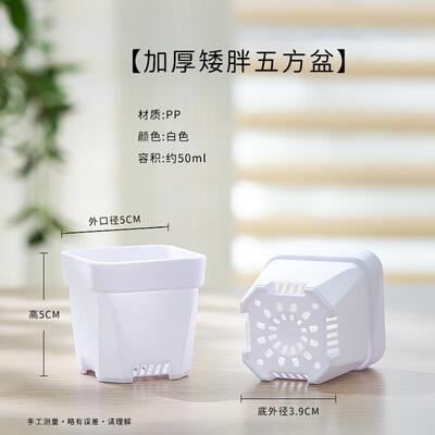 热卖八角加厚小白方多肉花盆特厚塑料方形植物叶插育苗盆多肉方盆