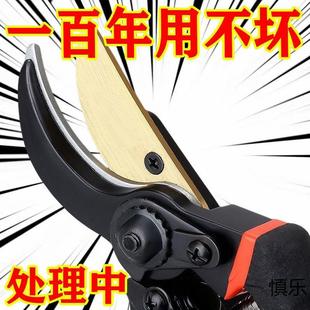 高品质剪枝剪刀剪树枝专用剪子强力花艺果树修剪家用花木园林粗枝