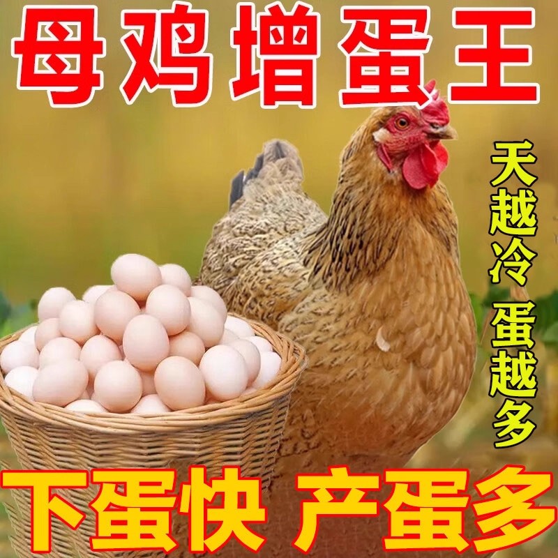 鸡鸭鹅下蛋专用药蛋多多禽用产蛋灵增蛋素软壳蛋兽用满窝补钙用