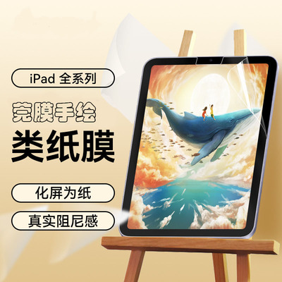 iPad类纸膜pro/Air防炫光纸感