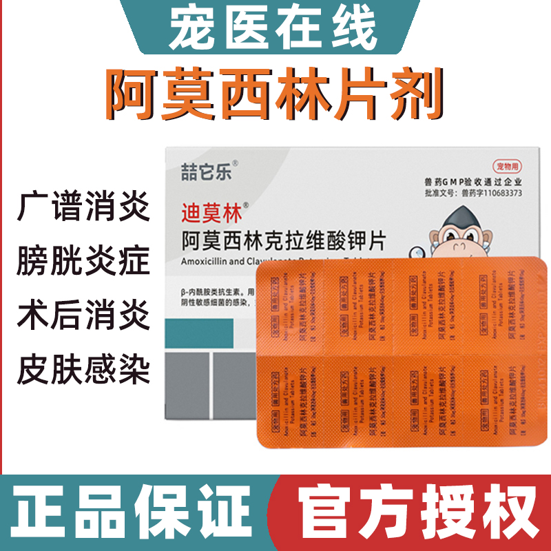 宠物阿莫西林猫用消炎片