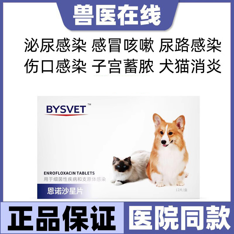 白云山宝神泌尿感染感冒子宫蓄脓