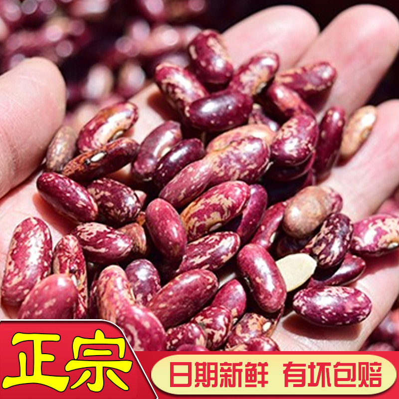 酸菜豆米火锅农家自种高山四季豆