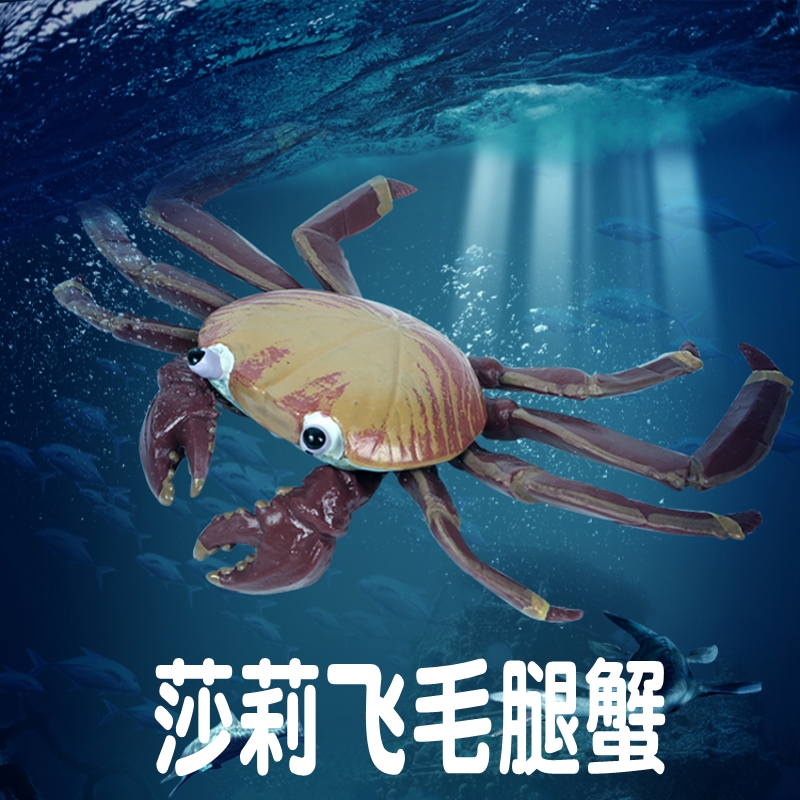 林畅模玩莎莉蟹模型仿真动物玩具