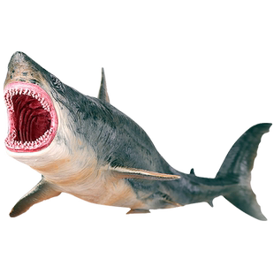 林畅模玩巨齿鲨模型儿童玩具仿真动物史前鲨鱼海洋生物远古巨兽