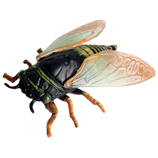 儿童昆虫模型塑胶玩具仿真动物金蝉青知了猴天牛竹节虫蝴蝶蜻蜓