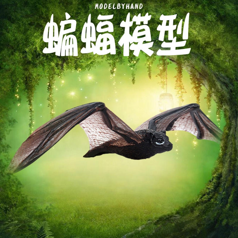 林畅模玩昆虫实心科教认知动物