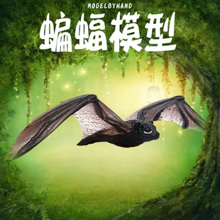 林畅模玩儿童仿真昆虫静态模型玩具实心蝙蝠飞狐哺乳动物科教认知