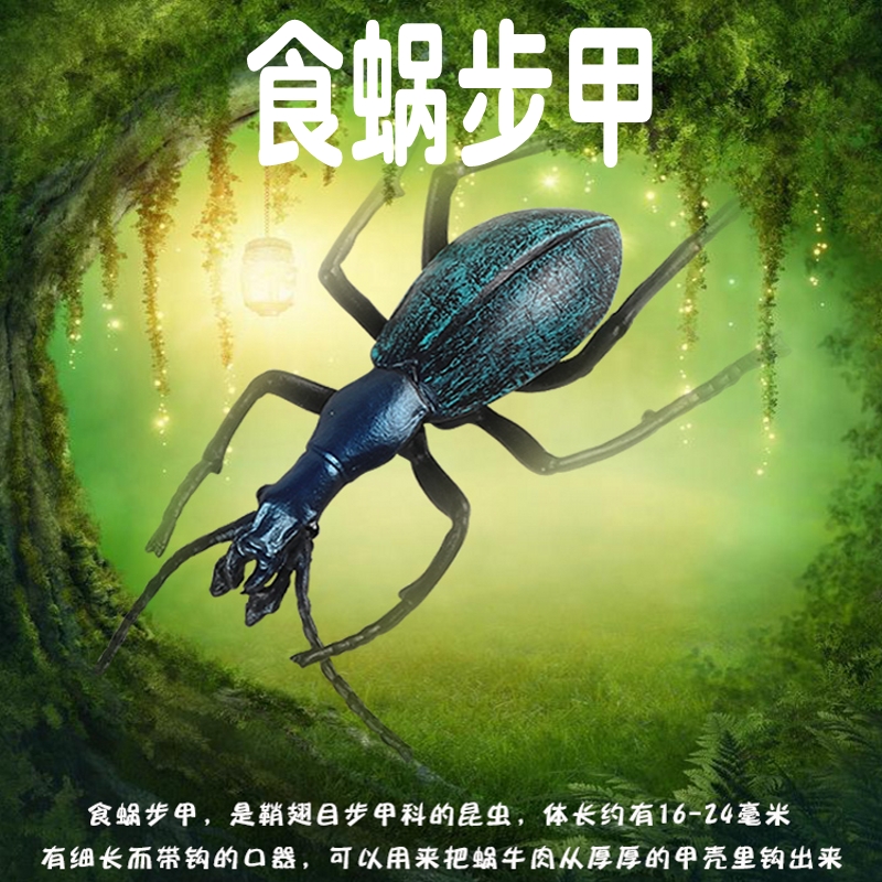 林畅模玩食蜗步甲模型仿真昆虫