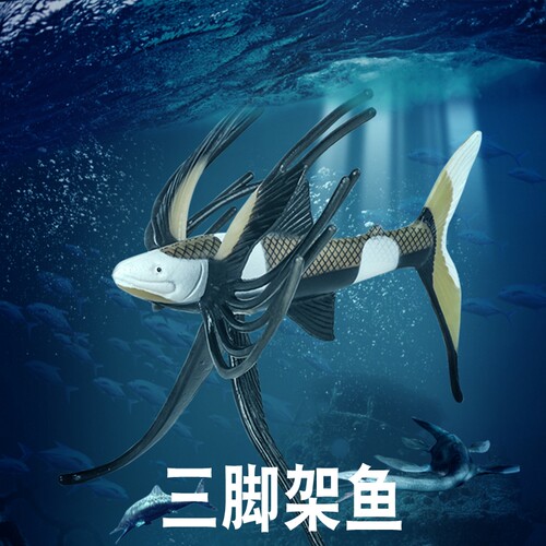 林畅模玩三脚架鱼模型仿真动物