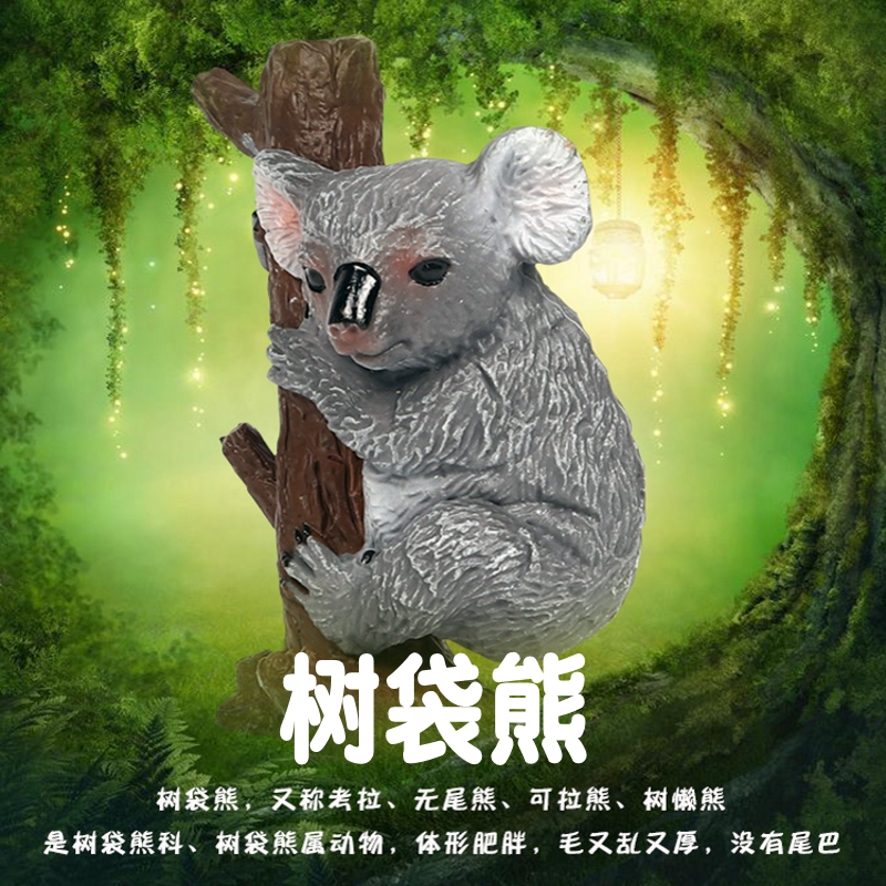 树袋熊是澳大利亚珍贵原始树栖动物
