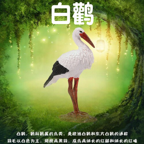 白鹳是鹳科鹳属的鸟类