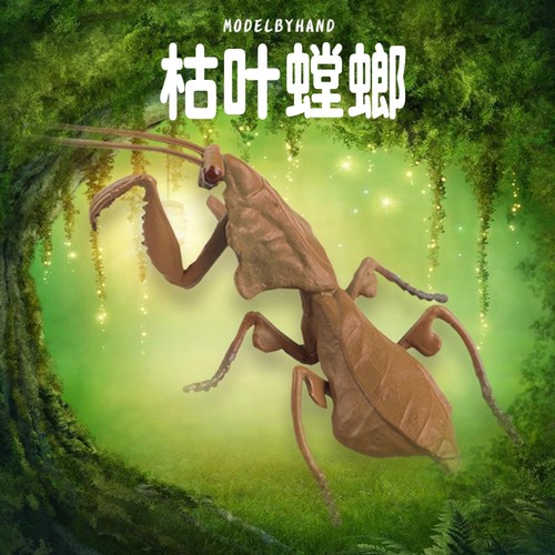 林畅模玩枯叶螳螂模型仿真昆虫