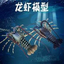 林畅模玩儿童仿真海洋世界生物动物玩具模型套装波士顿大龙虾澳龙