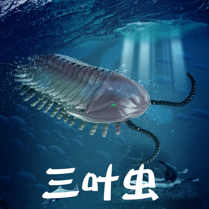 林畅模玩三叶虫模型仿真史前动物