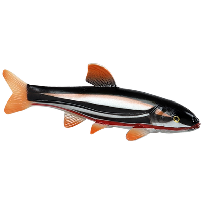 林畅模玩红腹鱥模型实心